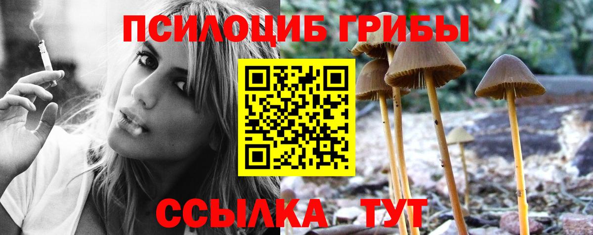 Марихуана  Киселёвск  Cocaine  МЕФ   ГАШИШ  АМФЕТАМИН кристаллы  МДМА  ГАШ  Вход с VPN 