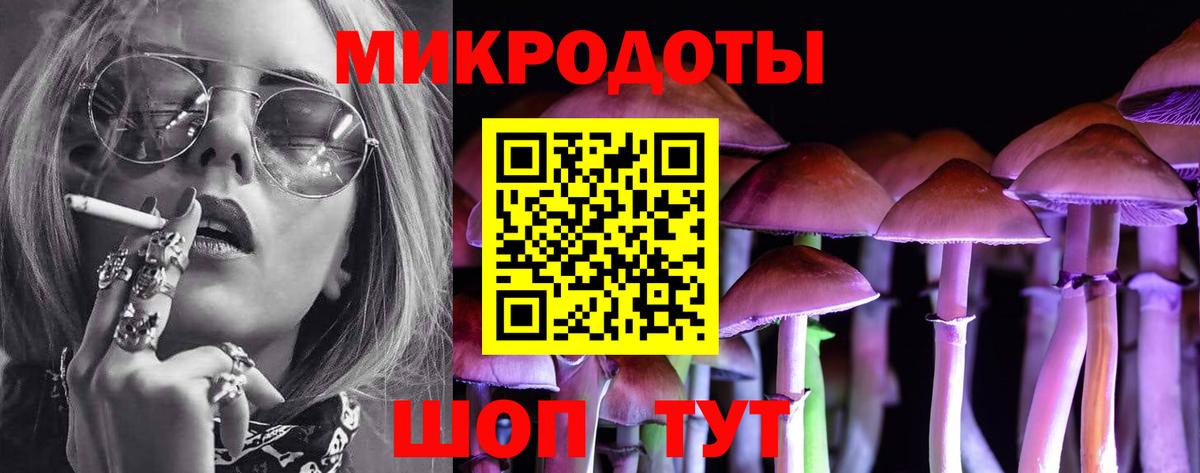 Псилоцибиновые грибы Psilocybe  Вход с VPN  Киселёвск 
