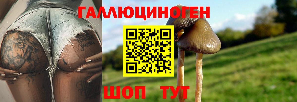 Галлюциногенные грибы MAGIC MUSHROOMS Киселёвск